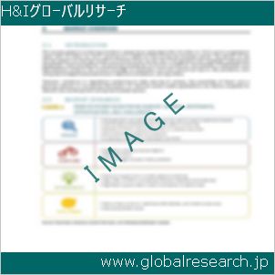 グローバルリサーチ調査レポートのイメージ